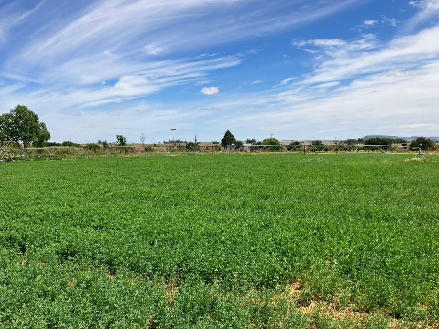 3 Bedroom Property for Sale in Bloemfontein Rural Free State